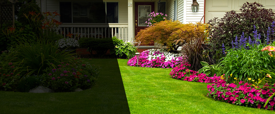 Dillon Landscapers
